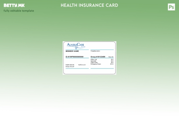 Модерен стил Шаблон за картичка за здравствено осигурување во Алјаска